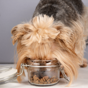 Lovely portrait-isolated