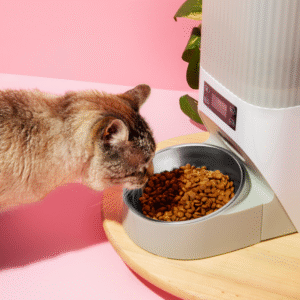 Cat feeder plate