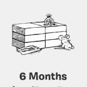 6 Month Essential Live Training