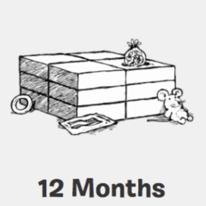 12 Month Essential Live Training