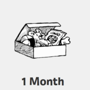 1 Month Essential Live Training